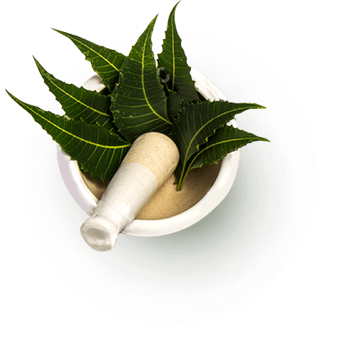 OMAA WELLNESS Ayurvedic treatment